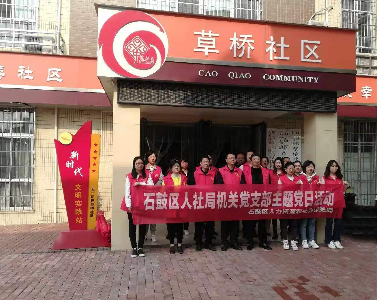 社区人口普查主题党日活动