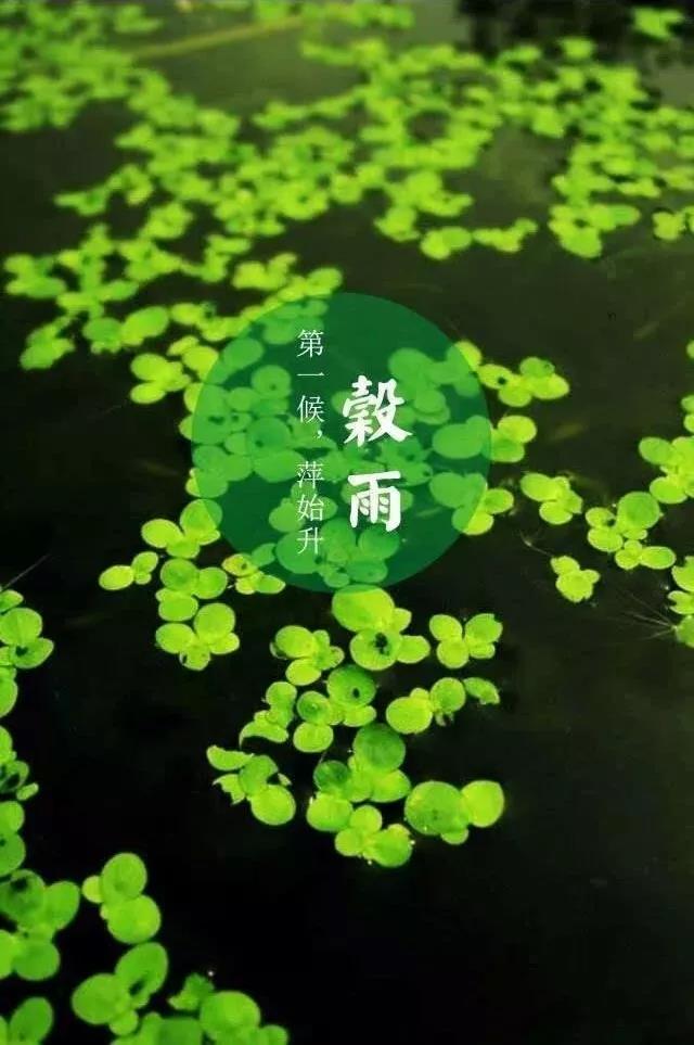 046