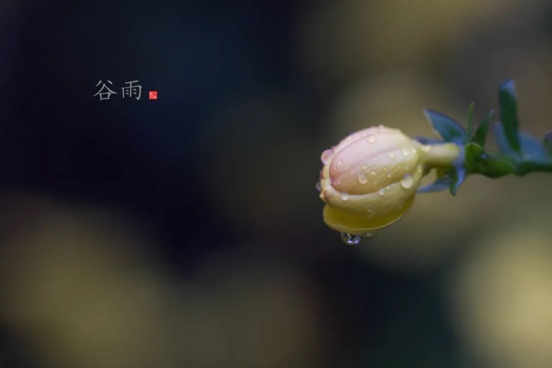 049