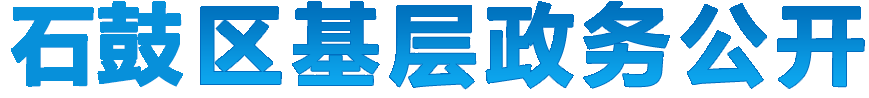石鼓区基层政务公开