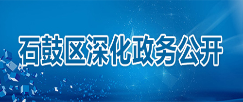 石鼓区深化政务公开